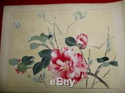 13-320 RARE Large book Japanese flower botanical Woodblock print BOOK