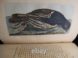 1813 NATURAL HISTORY & ANTIQUES Selborne Plates Orig Leather Binding Rare Book