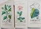 1816-29 Antique Botanical Atlas 191 Hand Colored Engravings Turpin Rare