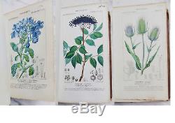 1816-29 Antique Botanical Atlas 191 Hand Colored Engravings Turpin RARE