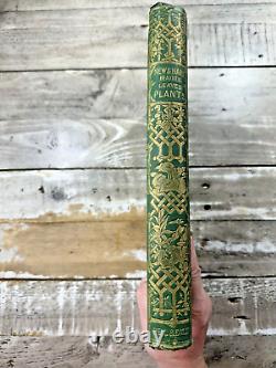 1870 Antique Gardening Book New & Rare Beautiful Leaved Plants 54 Color Plates