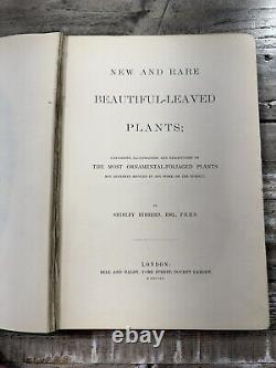 1870 Antique Gardening Book New & Rare Beautiful Leaved Plants 54 Color Plates