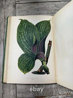 1870 Antique Gardening Book New & Rare Beautiful Leaved Plants 54 Color Plates