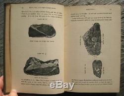 1881 ANTIQUE COOKBOOK Cookery Victorian Vintage Recipes Parloa Pastry Rare Old