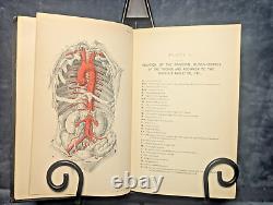 1890 Antique Medical Book Essentials of Anatomy and Dissection Rare