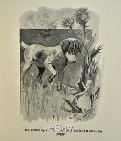 1893 ALICE IN WONDERLAND Antique FIRST EDITION Children's RARE Disney L. CARROLL