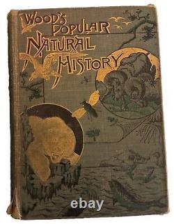 1894 Wood's Popular Natural History Animals Birds Nature Antique Vintage Rare