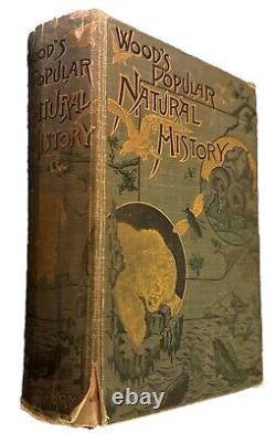 1894 Wood's Popular Natural History Animals Birds Nature Antique Vintage Rare