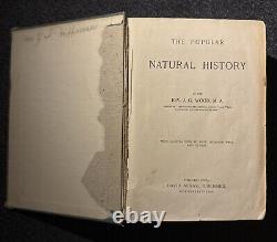 1894 Wood's Popular Natural History Animals Birds Nature Antique Vintage Rare