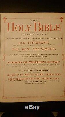 1900s Douay & Rheims family bible leather and gold (vintage, antique, rare!)