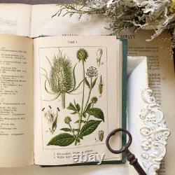 1905 German Small Antique Botanical Encyclopedia FVD13 Rare Books Old Books