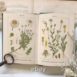 1905 German Small Antique Botanical Encyclopedia FVD13 Rare Books Old Books