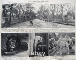 1906 NEW YORK CITY Rare Antique Photo Book VICTORIAN GILDED AGE MANHATTAN GOTHAM