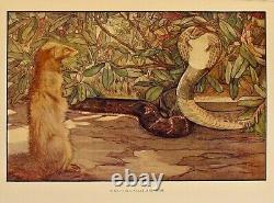 1909 THE FIRST JUNGLE BOOK Antique COLOR EDITION Rudyard KIPLING Disney DETMOLD