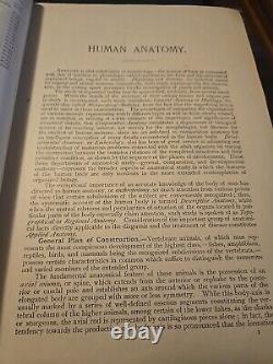 1916 Human Anatomy Structure & Development by Piersol Rare Antique Medical Book