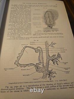 1916 Human Anatomy Structure & Development by Piersol Rare Antique Medical Book