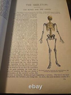 1916 Human Anatomy Structure & Development by Piersol Rare Antique Medical Book