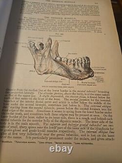 1916 Human Anatomy Structure & Development by Piersol Rare Antique Medical Book