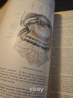 1916 Human Anatomy Structure & Development by Piersol Rare Antique Medical Book