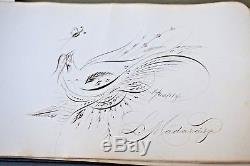 59 SPENCERIAN DRAWINGS 4 RARE Samples by LOUIS MADARASZ 1859-1910 Autograph Book