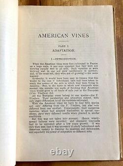 AMERICAN VINES by P. VIALA & L. RAVAZ 1903 RARE ANTIQUE HC BOOK VITICULTURE