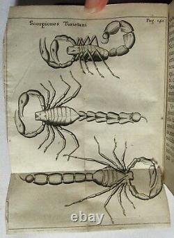 Antique 1671 EXPERIMENTA INSECTORUM Natural History REDI Science ENTOMOLOGY Rare