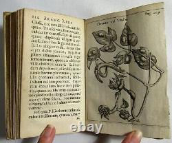 Antique 1671 EXPERIMENTA INSECTORUM Natural History REDI Science ENTOMOLOGY Rare