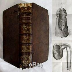 Antique 1787 VENEREAL DISEASE Maladies Veneriennes Medicine ANATOMY PLATES Rare