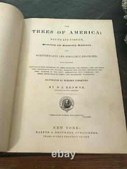 Antique 1846 the Trees of America FIRST EDITION Book RARE