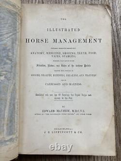 Antique 1885 The Illustrated Horse Management Edward Mayhew Rare Book VINTAGE