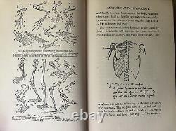 Antique Book A Layman's Handbook Of Medicine Richard Cabot 1916 Rare 1st Edition