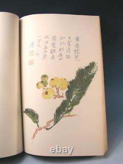 Antique Rare Chinese Paintings (16) Large Book SWITZERLAND