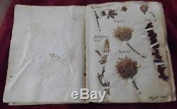 Antique Unusual Rare 1886 Witchcraft Witch Hedgewitch Pressed Flower Album 1886