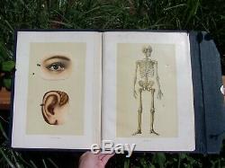 AntiquerarePhysician's Anatomical AidIra Bunnc. 1900medical book withfold-outs