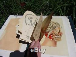 AntiquerarePhysician's Anatomical AidIra Bunnc. 1900medical book withfold-outs