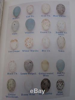 BIRD EGGS & NESTS 8 Color Plates ANTIQUE PRIZE BINDING Ornithology WATCHING Rare