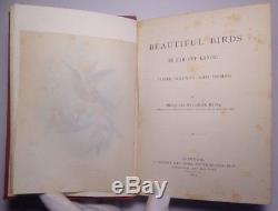 Beautiful Birds In Far-Off Lands, 1873 Rare Antique, Beautiful Illustrations