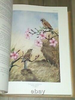 Birds Of Arabia RARE HC Book Col R Meinertzhagen Illustrated Color Antique/Vtg