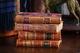 Charming Collection Of Antique Leather Spine Books