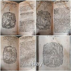 Extremely rare French Bible from 1560 With many woodcut illustrations