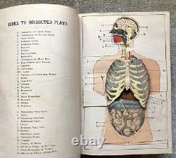 Ladies' Guide, Rare, Antique, Health, Disease, Motherhood, Kellogg, 1900, illus