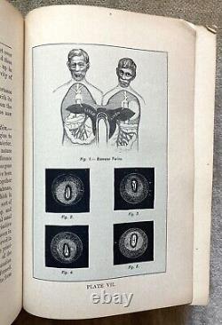 Ladies' Guide, Rare, Antique, Health, Disease, Motherhood, Kellogg, 1900, illus