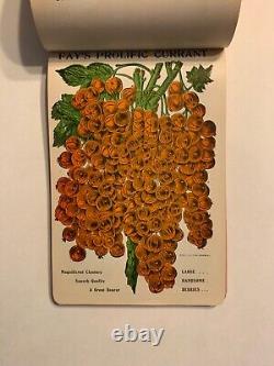 Nurseryman's Catalog Plate Book, T. W. Rice, Geneva, NY 1900s