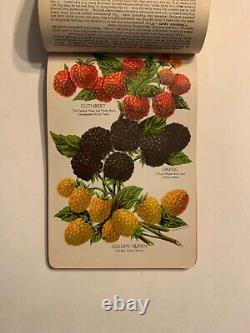 Nurseryman's Catalog Plate Book, T. W. Rice, Geneva, NY 1900s