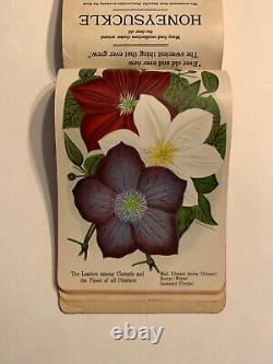 Nurseryman's Catalog Plate Book, T. W. Rice, Geneva, NY 1900s