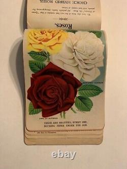 Nurseryman's Catalog Plate Book, T. W. Rice, Geneva, NY 1900s