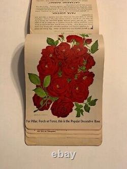 Nurseryman's Catalog Plate Book, T. W. Rice, Geneva, NY 1900s