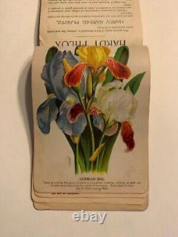 Nurseryman's Catalog Plate Book, T. W. Rice, Geneva, NY 1900s