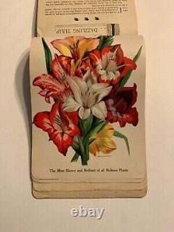 Nurseryman's Catalog Plate Book, T. W. Rice, Geneva, NY 1900s