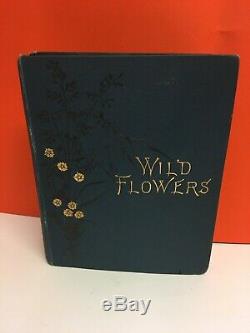 RARE 1800s Second Series Anne Pratt Antique Flowers Botanical Vintage book
